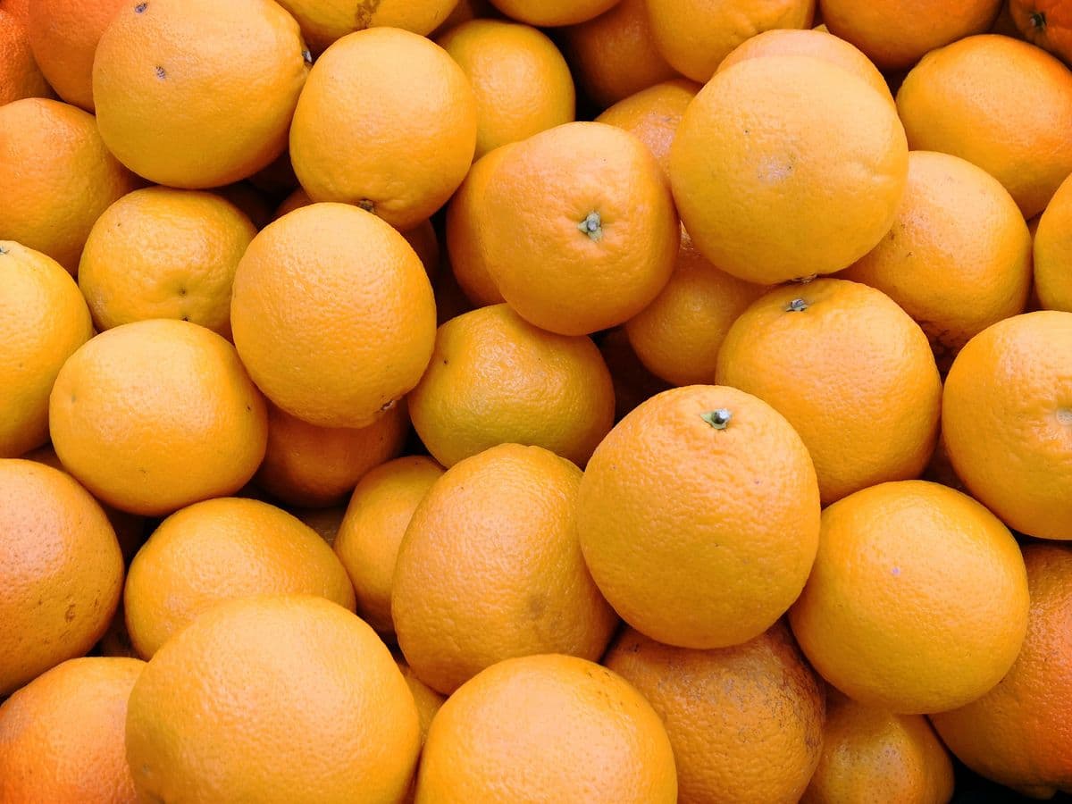 Laranja-pera — saco